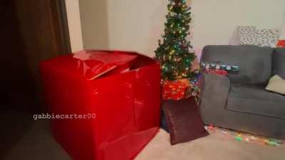 Underneath The Xmas Tree [OC]