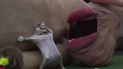 I am at a loss for words...