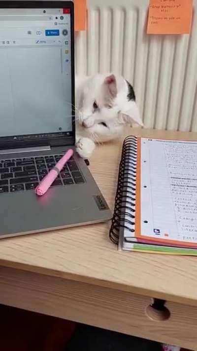 I cannot work in these conditions