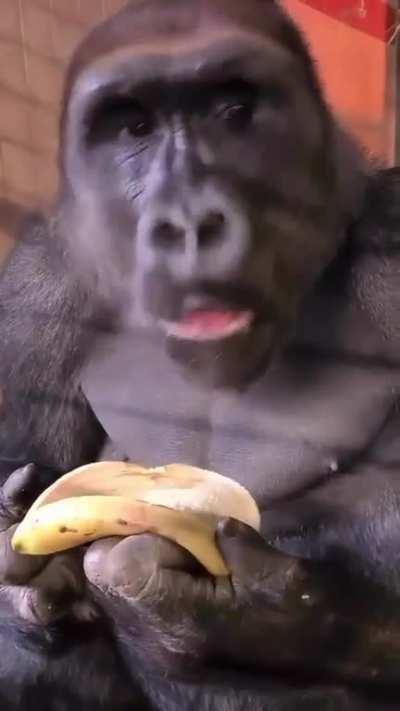 Eating a banana