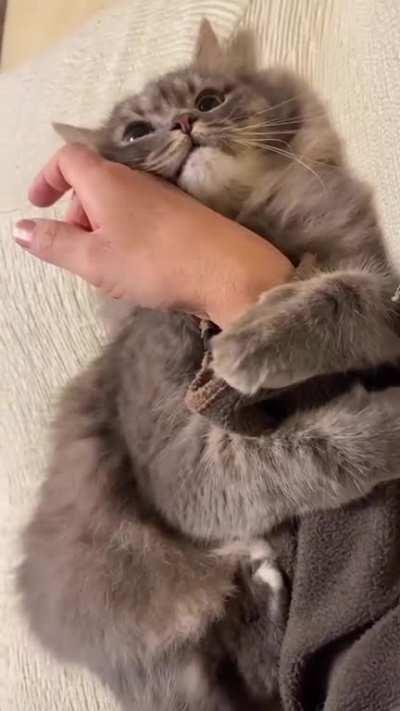 Won't let me go to work, haha