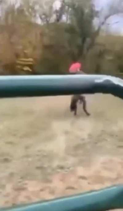 Someone give that rider a medal