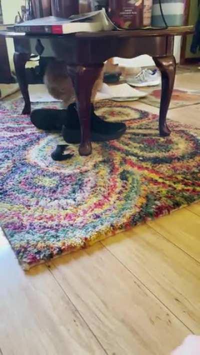 Obi’s lack of braincell really comes out when he plays