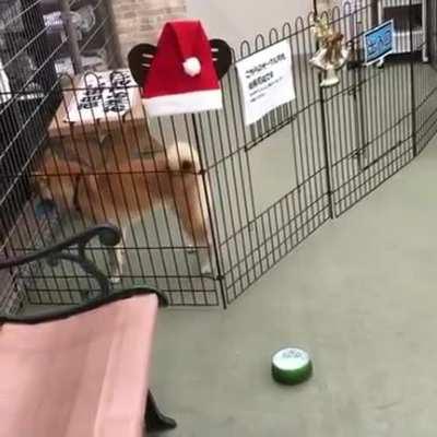 All you need is momentum.