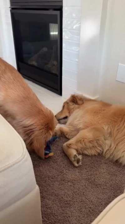 Here's what the perfect heist looks like