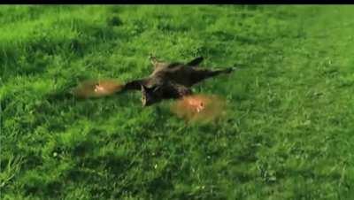 ima just leave this here