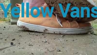 Halffinal 1: Barefoot v/s Yellow vans (Intro)