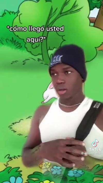 Mis recomendaciones cada vez están más raras