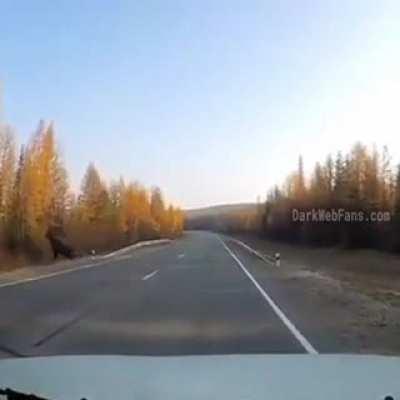 His Balls Might Have A Bit Öf Road Rash, But At Least He'S Still Alive. 🍑😛💋🤭