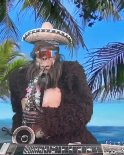 Upvote para que el admin pierda dinero