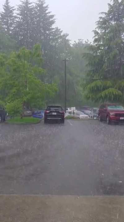 Fingers crossed for thunder and lightning! (PNW)