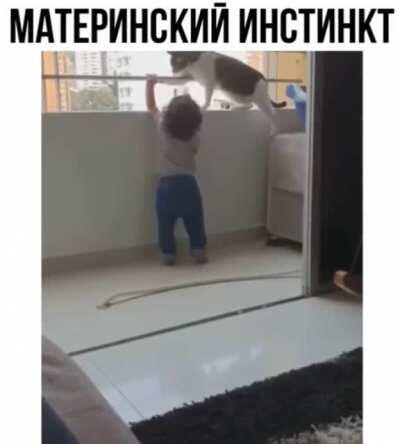 Спасение рядового мальчика