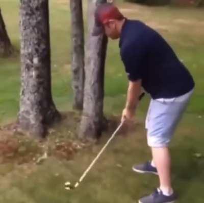 Golfing through the trees