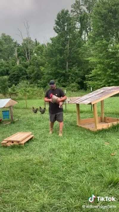 SiCk FuCk rIpS OfF bAbY's ArMs, SuRgIcAlLy AtTaChEs To ChIcKeN