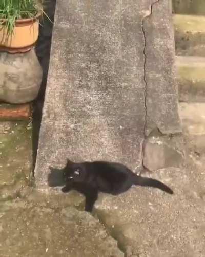 this game can last forever