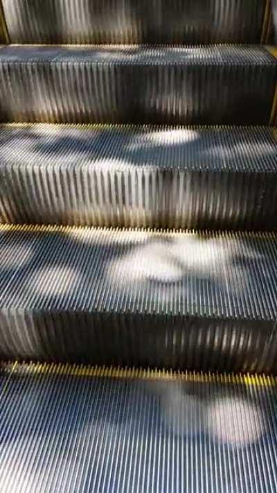 The way the light shines off this escalator