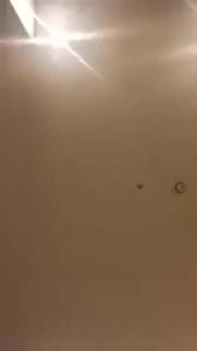 Ele realmente é um avião