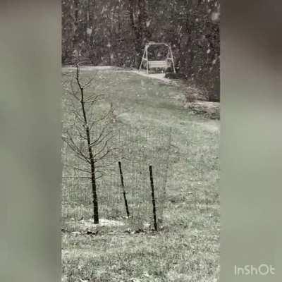 Little dork enjoying his first snow