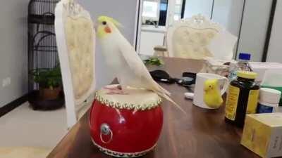 thought this fit here :) check out these rhythms!