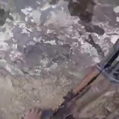 One of the best close ups i've seen in a while