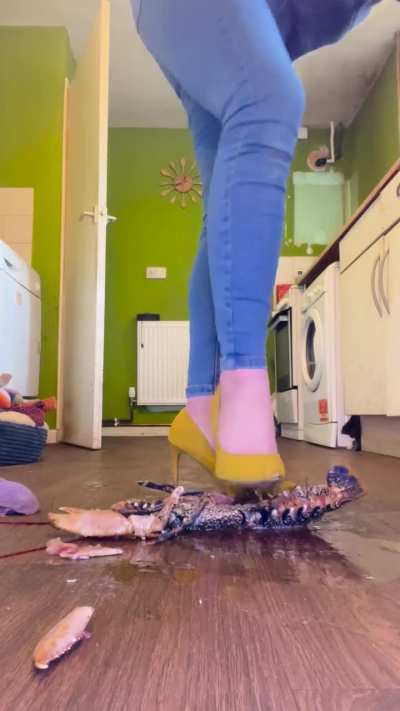 Angel Eyes crush #112 preview (sound on!)