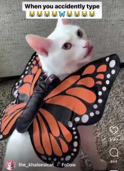 Who uses that many emojis anyway? Video funny tho