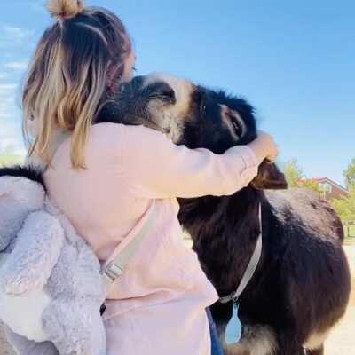 You requested ear scratches for my big boy Grizz. Here you go. He says thank you reddit.