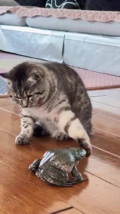 Small green wunk meows 