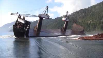 It looks like an accident, but this is how captains unloads timber ships in Canada