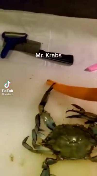 Cursed_crab