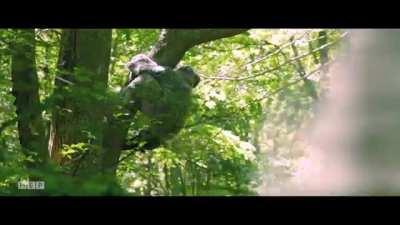 Kevin James filmed himself running around in the woods dressed up in a fur suit then got Adam Sandler to narrate it