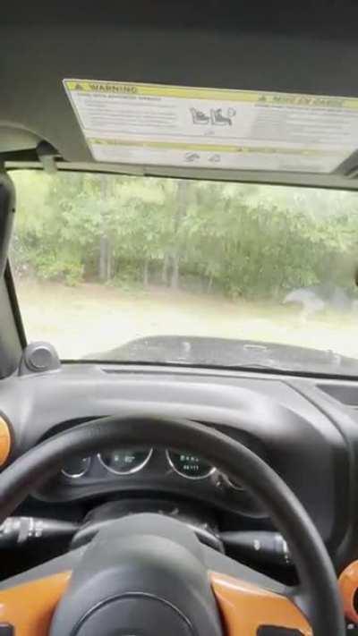 Soft top wranglers make the best of rainy days