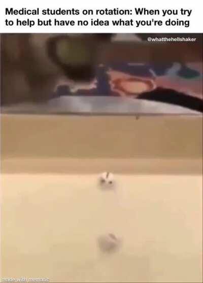 Welcome to clinical rotations