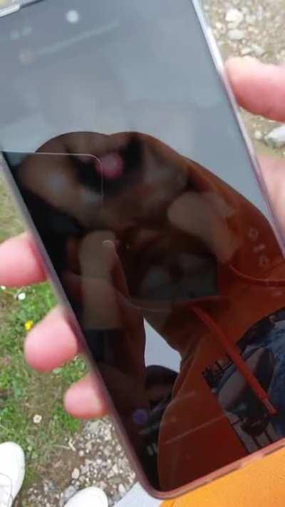 yes king beyond the clouds (2200m)