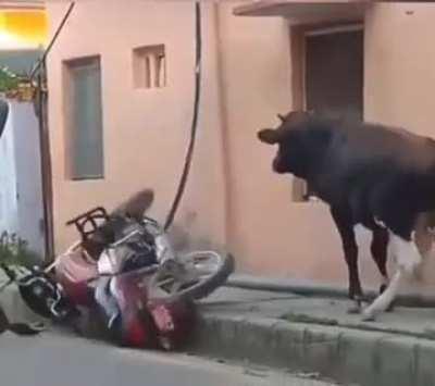 It looks like the date didn't go according to plan!)