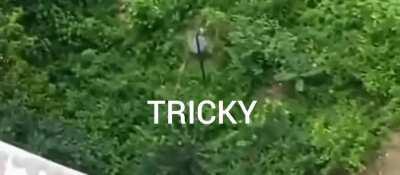 Tricky in real life 😳