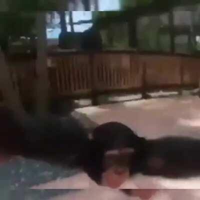 Monki ile guzelt anlar UwU