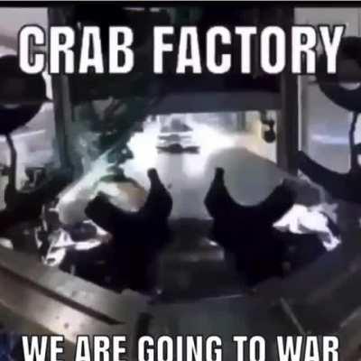 WE GOING TO WAR BOYS