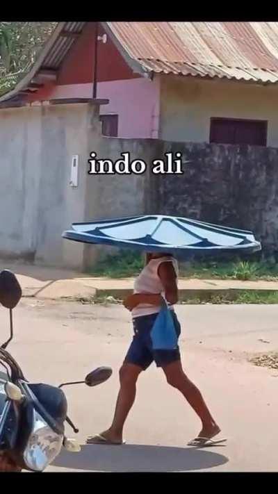 Indo ali