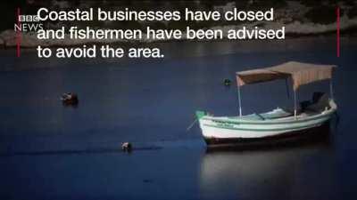 Oil spill turns Greek island bay black - BBC News