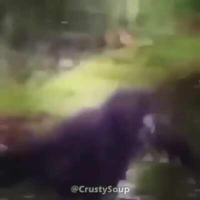 f mucalol sentirei sdds verme