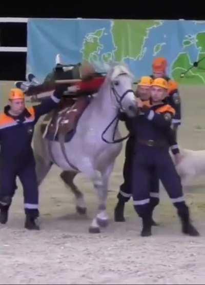 to demonstrate the rescue horse