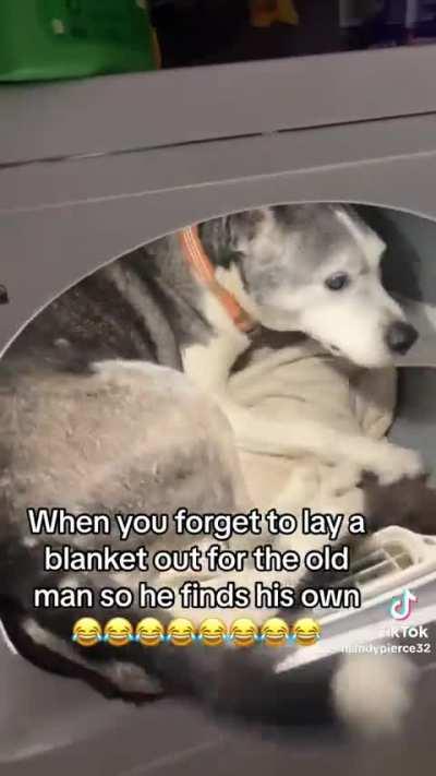 (Not OC/not my dog) Won’t bring me my blankie? Fine, I’ll go get it myself >:(