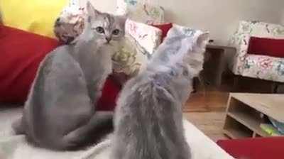 Eski SD Karttan Çıkanlar#25