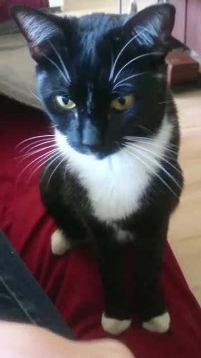 Ben Loves Sunflower Seeds