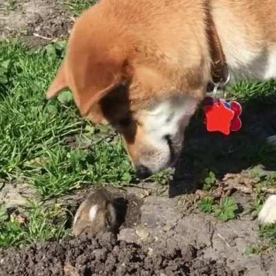 They both can't figure out what's going on