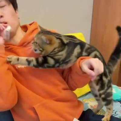 Love they way, she eats