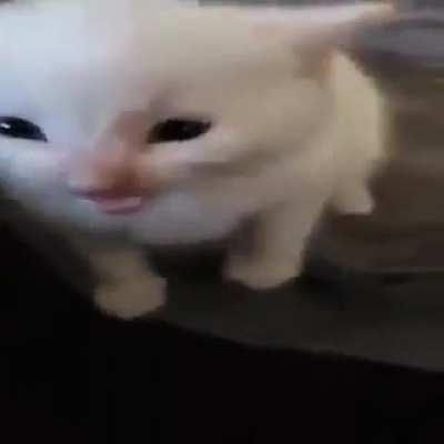 Herbert (found on discord)