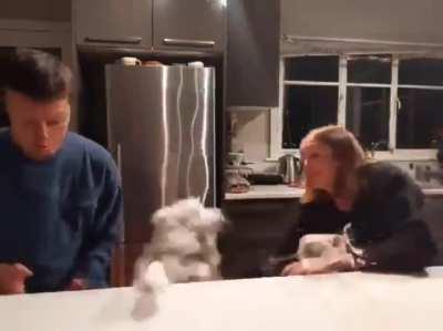 Thanks, I hate Good Bois