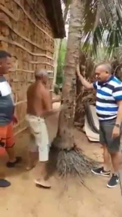 E eu com 39 anos não consigo descer uma escada 😂